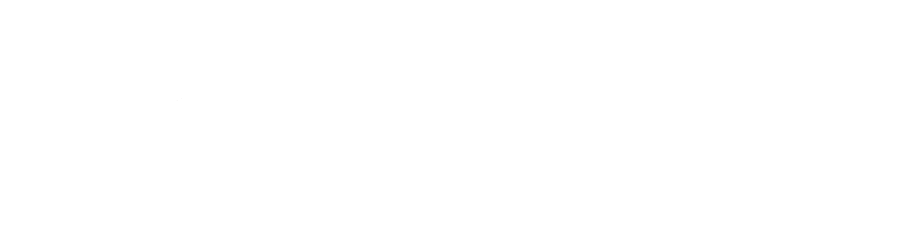 Morphisys